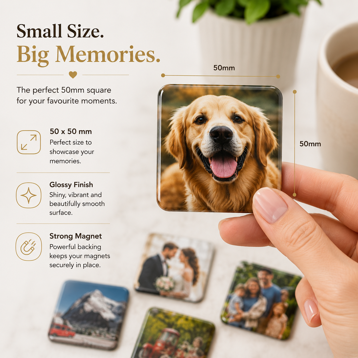 The Memory Grid